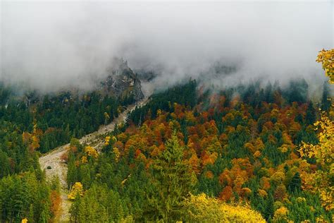 Fog Oberstdorf Trees Forest Suedallgaeu Mountains Landscape