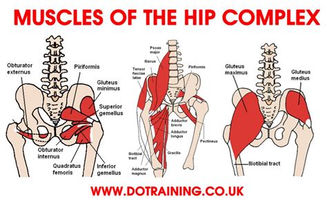 6 Steps To Correcting Hip Flexor Pain Balance In Motion