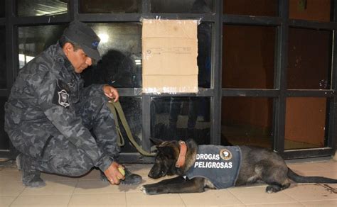 Jujuy Cuenta Con Una Nueva Perra Entrenada Para Encontrar Drogas