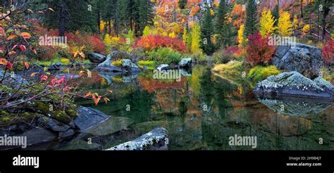 Autumn Foliage Along Wenatchee River Leavenworth Washington State
