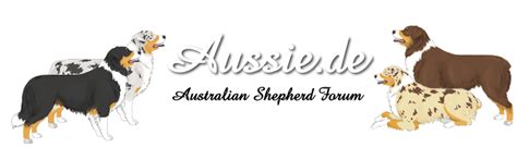Australian Shepherd Forum | Australian shepherds, Australian shepherd, Hunderasse