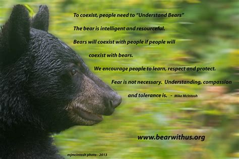 We deem those happy who from the experience of life have learnt to bear its ills without being overcome by them. Quotes about Bear cubs (25 quotes)