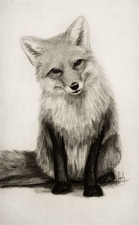 Realistic Animals Drawing At Getdrawings Free Download