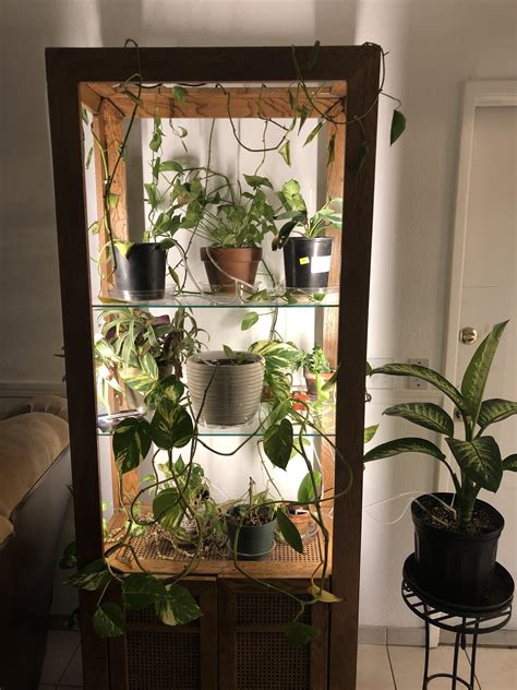 My Plant Display Rindoorgarden