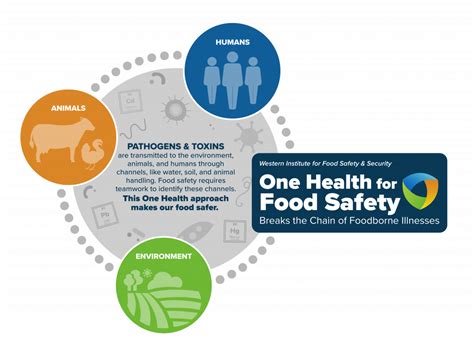 Breaking The Chain Of Foodborne Illnesses Through Education Uc Davis