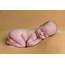 10 Easy Newborn Poses For Beginners  Cheat Sheet Included
