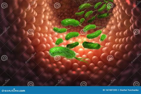 Escherichia Coli Germs And Viruses In Body Bowel Infection Upset