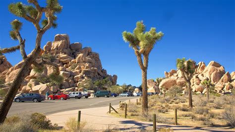 10 Best Hotels Closest To Joshua Tree National Park In California For