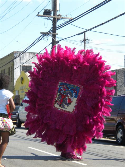 Balaenius Rex Mardi Gras Indians From Super Sunday