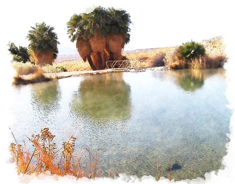 Blue lake springs exercise room. Springs of Lake Mead - Lake Mead National Recreation Area ...