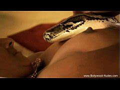Snake Sex With Girl Free Mobile Porn XXX Sex Videos And Porno