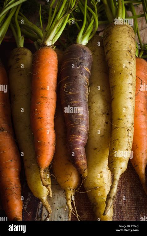 Heritage Carrot Variety Hi Res Stock Photography And Images Alamy