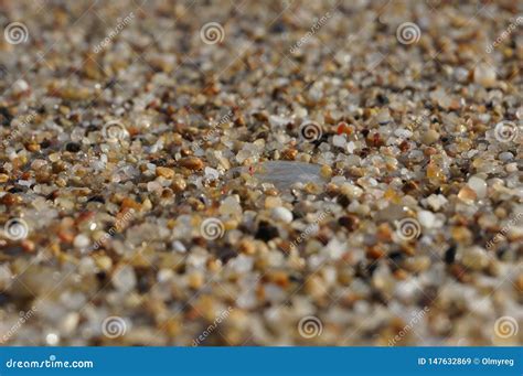 Sand Grains Closeup With Focus On The Center And Blurred Background