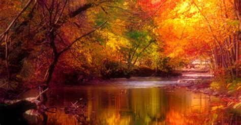 Amazing Autumn | A Trish Out of Water