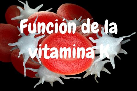 Función Vitamina K En El Organismo Funciones Para La Salud