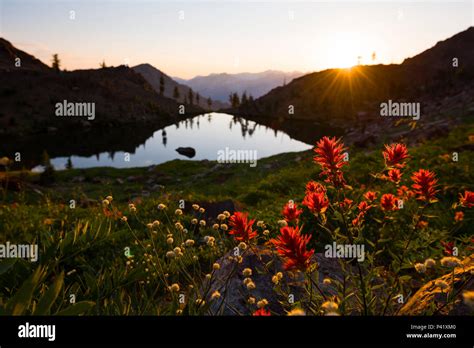 Sunset And Wildflowers At Echo Lake In The Trinity Alps Wilderness Four