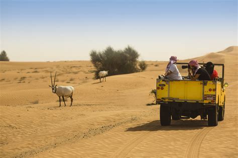 Dubai As An Ecotourism Destination