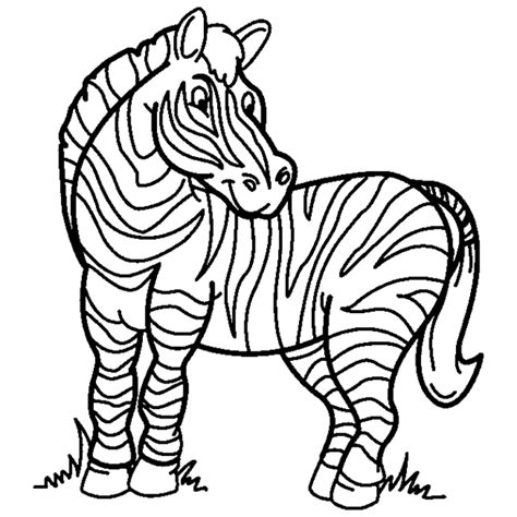 37+ zebra coloring pages for printing and coloring. Zebra Coloring Pages 3 | Coloring Pages To Print