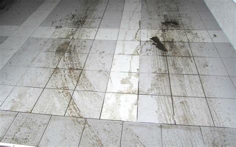 See how you can decrease that installation cost. Porcelain Tile Long-Term Review - 3 | All Garage Floors