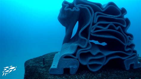 Large Scale 3d Printed Artificial Reefs 3 Years After The Immersion