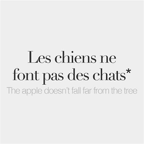 Pin by MVPrincess on Un Mot Par Jour/A Word A Day | French words, Basic ...