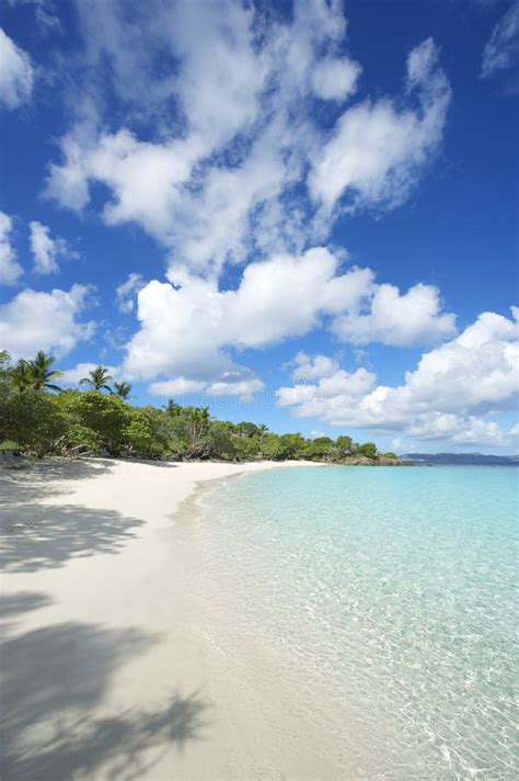 Paradise Idyllic Caribbean Beach Virgin Islands Vertical Stock Image