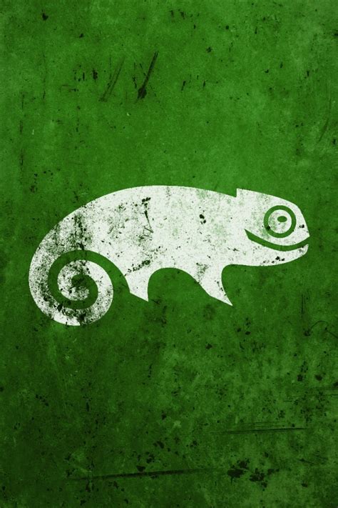 Green Iguana Iphone 4 Wallpaper 640x960