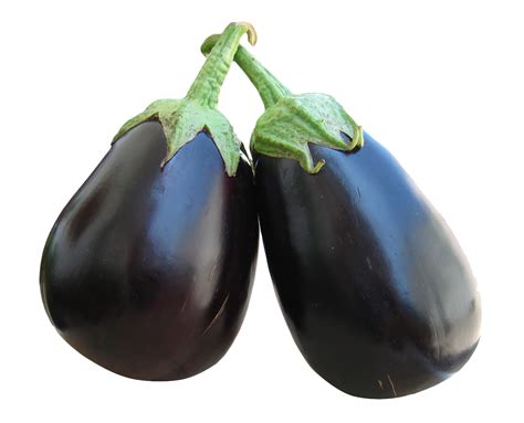 Download Free Brinjal Eggplant Bunch Free Clipart Hq Icon Favicon