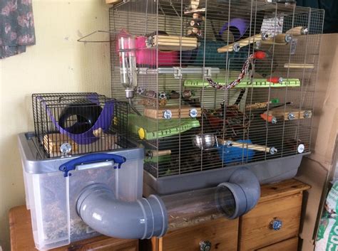 Rat Cage Extension Rat Cage Pet Rats Rat Cage Accessories