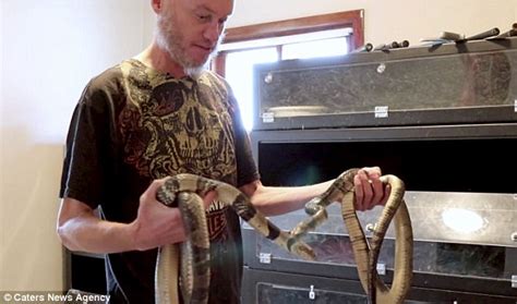 Wisconsin Scientist Lets Venomous Black Mamba Snake Bite Him Daily