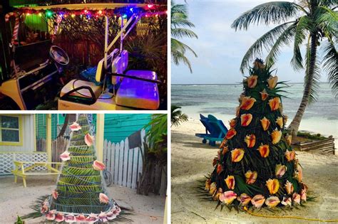 Why You Should Spend Christmas In Belize Sandy Point Resorts