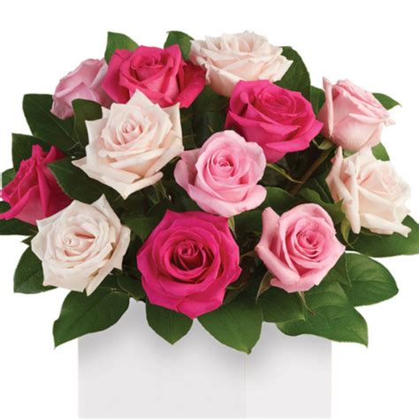 Pink Blush Flower Delivery Perth