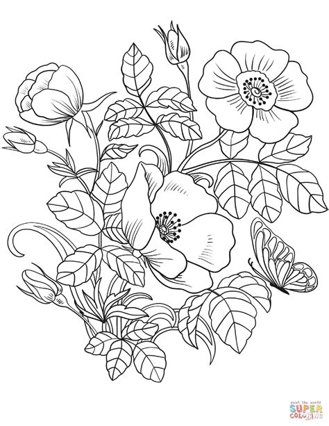 Spring Flowers Coloring Page Free Printable Coloring Pages