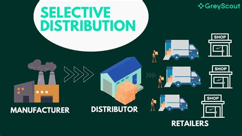 Protect Brand Perception With Selective Distribution Greyscout