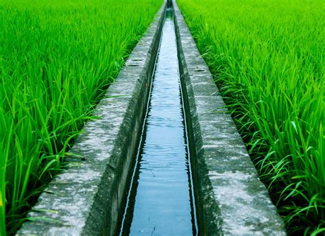 Learn About Irrigation Systems Used In Organic Farming