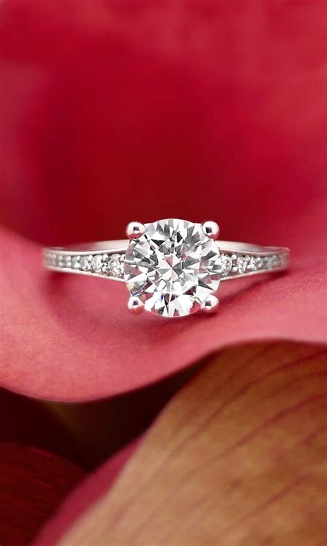 18k White Gold Lucia Diamond Ring Jewelry White Gold Diamond Rings Wedding Rings For Women