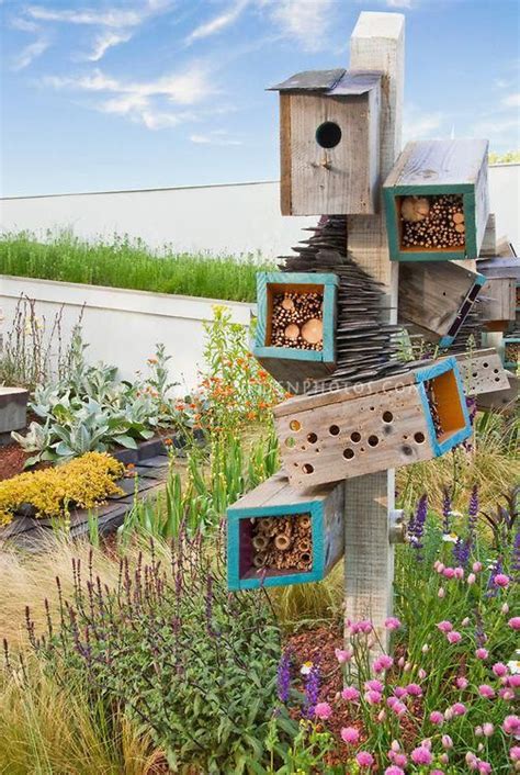 Attracting Wildlife And Birds To Backyard Garden Bird House Feeders