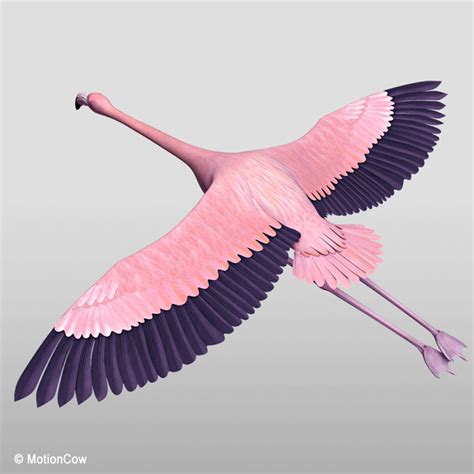 3d Realistic Flying Pink Flamingo Model