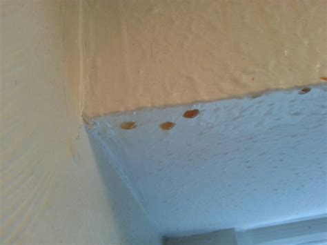 Dark spots on the lips or an uneven skin tone can indicate a vitamin deficiency. attic - Are mice dying in my loft? - Home Improvement ...
