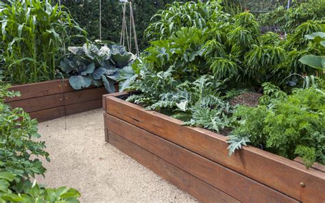 Maybe you would like to learn more about one of these? 15 Raised Wooden Garden Bed Designs - Garden Lovers Club