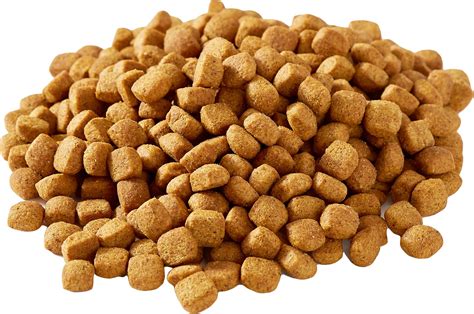 In reality, completely dry food just does not have enough necessary nutrients to give your pet dog with the optimal quantity of nutrition. Dry Dog Food: Choosing the Perfect Life Stage for Your Dog ...