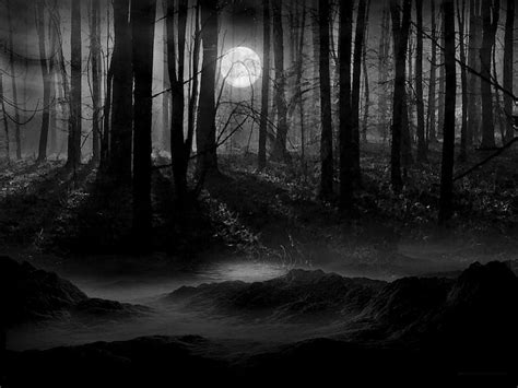 Pin By David Brown On Gothic 2 Forest Moon Dark Forest Dark Landscape