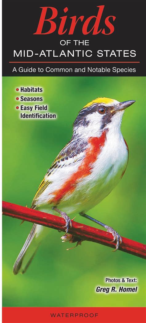 Birds Of The Mid Atlantic States Quick Reference Publishing Retail