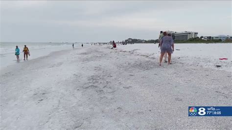 Red Tide Reported At Several Sarasota County Beaches Health Officials