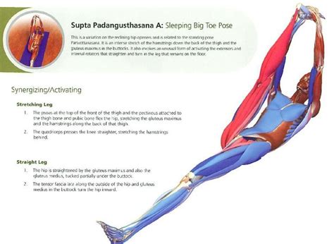 Supta padangusthasana also known as reclined hand to big toe pose is an asana. 1000+ images about supta padaghustasana on Pinterest