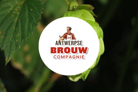 Antwerpse Brouw Compagnie Vlaamse Brouwers