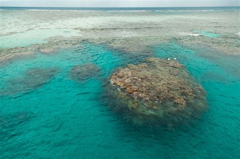 La Gran Barrera De Coral De Australia Viajeros Ocultos