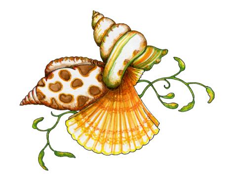 Shells Pictures Clip Art 10 Free Cliparts Download Images On