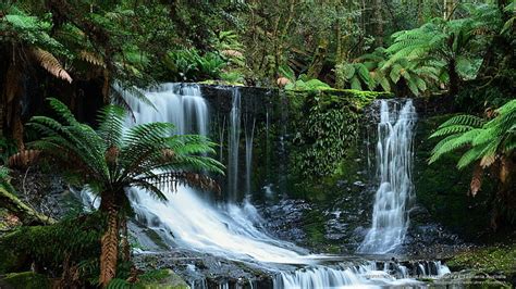 Hd Wallpaper Horseshoe Falls Mount Field National Park Tasmania