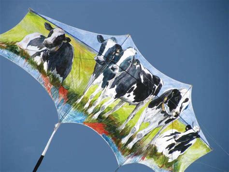Single Line Kites By Shape Aka American Kitefliers Association